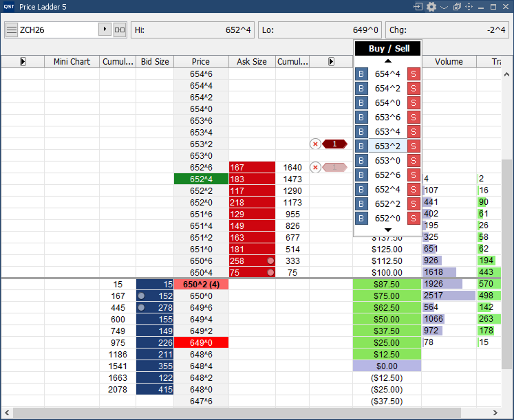 QST Professional Price Ladder With Streaming Last Tick, Real-time Display Of Positions, Average Price And Profit/Loss